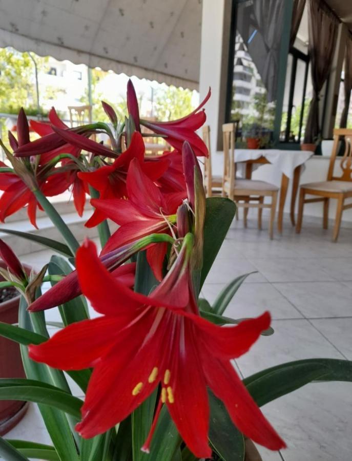 Hotel Rossi Vlore Luaran gambar